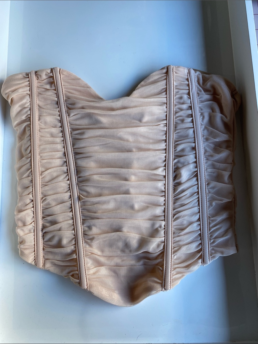 Zara Ruched Strapless Bustier Top in Nude